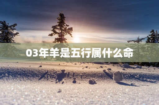 03年羊是五行属什么命
