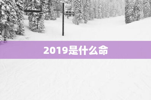 2019是什么命