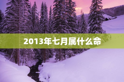 2013年七月属什么命