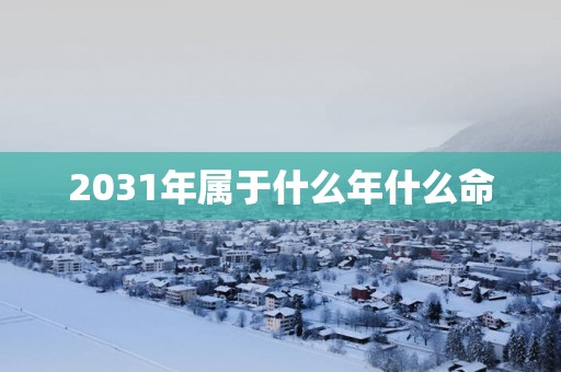 2031年属于什么年什么命