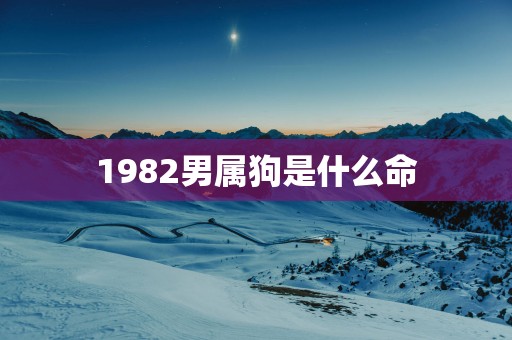 1982男属狗是什么命