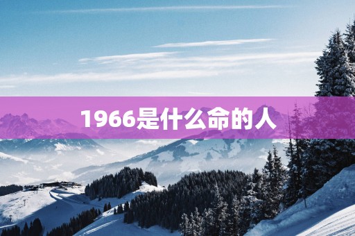 1966是什么命的人