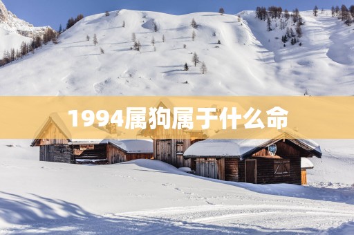 1994属狗属于什么命