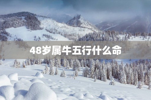 48岁属牛五行什么命