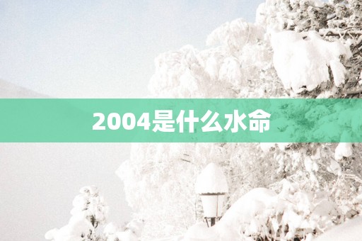 2004是什么水命