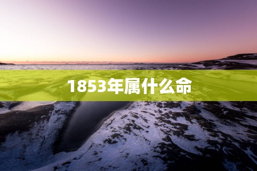 1853年属什么命