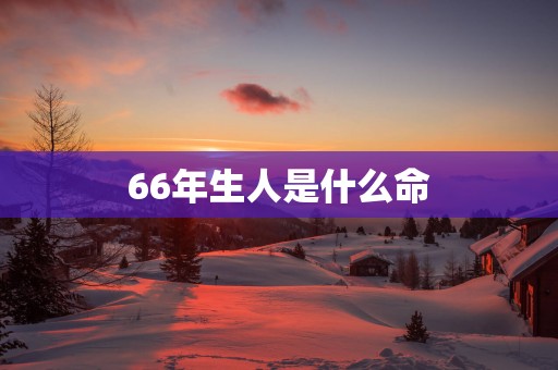 66年生人是什么命