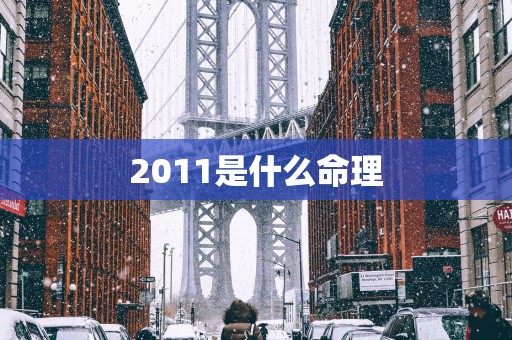 2011是什么命理