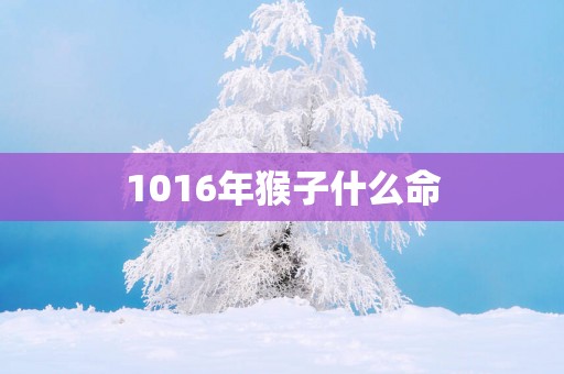 1016年猴子什么命