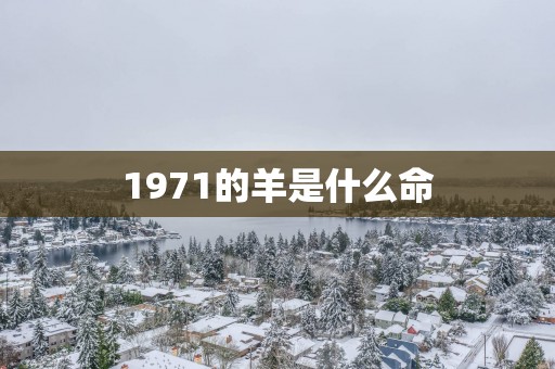1971的羊是什么命