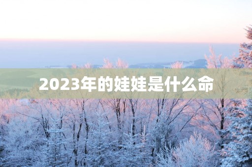 2025年的娃娃是什么命