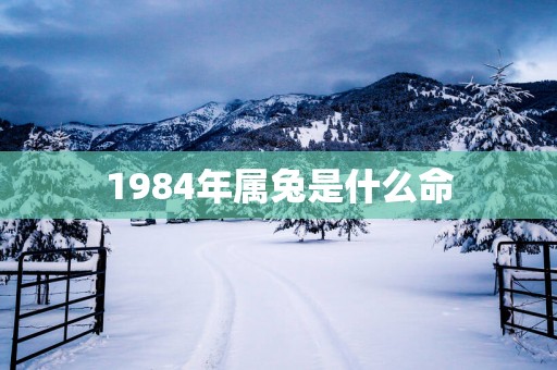 1984年属兔是什么命