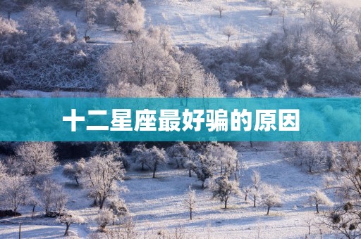 十二星座最好骗的原因