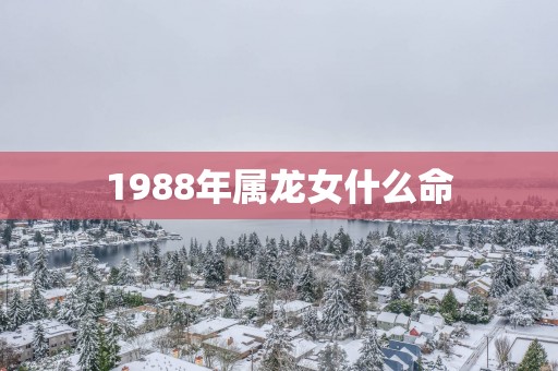 1988年属龙女什么命