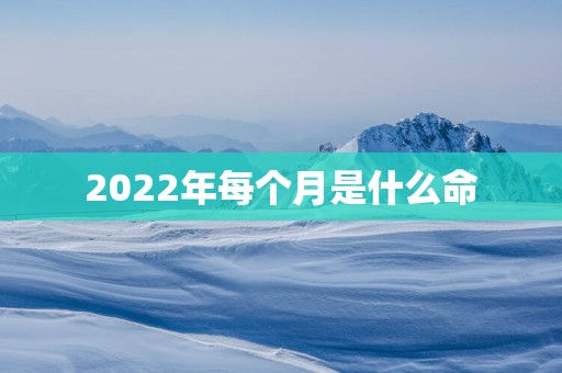 2025年每个月是什么命