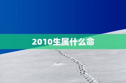 2010生属什么命