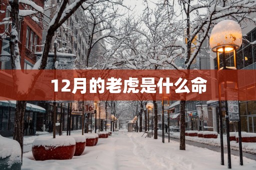 12月的老虎是什么命