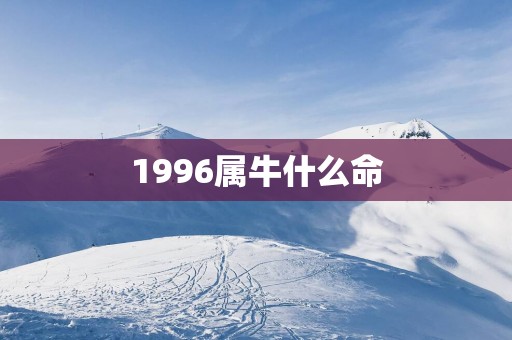1996属牛什么命