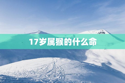 17岁属猴的什么命