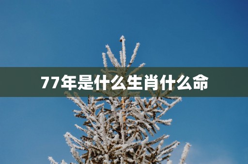 77年是什么生肖什么命