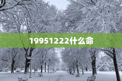 19951222什么命