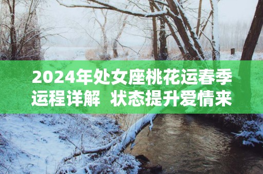 2025年处女座桃花运春季运程详解  状态提升爱情来