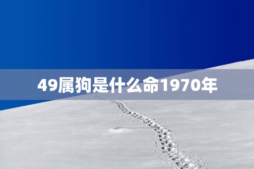 49属狗是什么命1970年