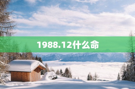 1988.12什么命