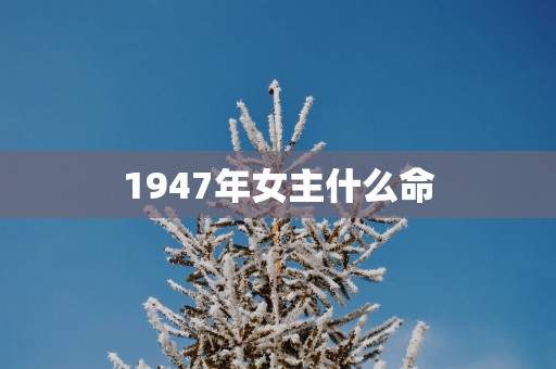 1947年女主什么命