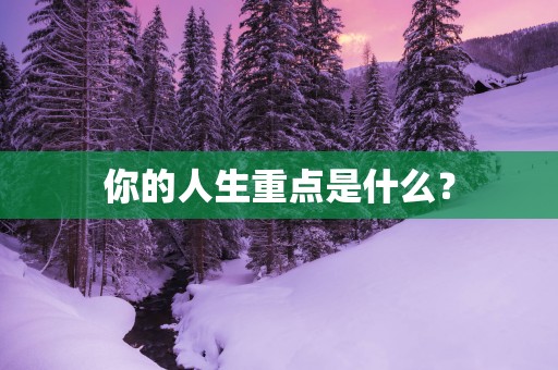你的人生重点是什么？