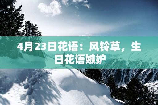 4月23日花语：风铃草，生日花语嫉妒