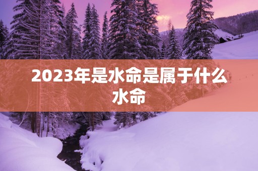 2025年是水命是属于什么水命