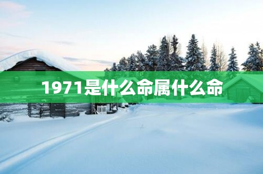 1971是什么命属什么命