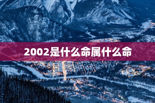 2002是什么命属什么命