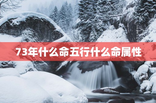 73年什么命五行什么命属性