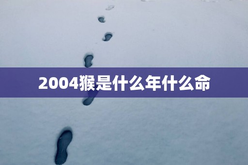 2004猴是什么年什么命