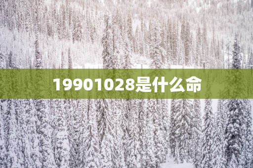 19901028是什么命