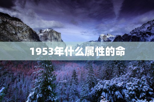 1953年什么属性的命