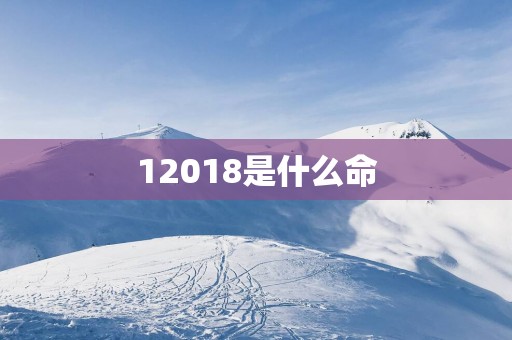 12018是什么命