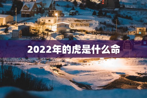 2025年的虎是什么命