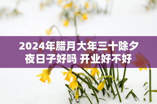 2025年腊月大年三十除夕夜日子好吗 开业好不好