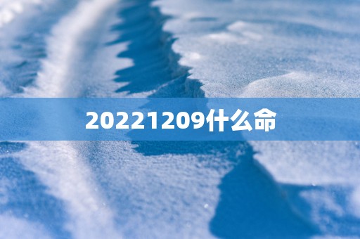 20251209什么命