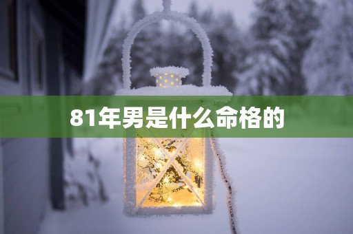 81年男是什么命格的