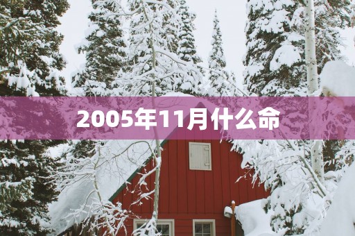 2005年11月什么命