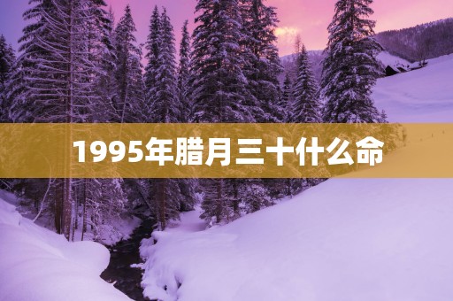 1995年腊月三十什么命