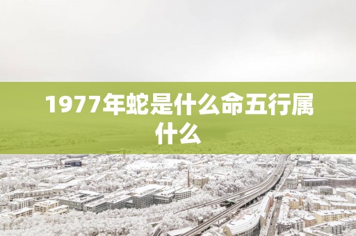 1977年蛇是什么命五行属什么