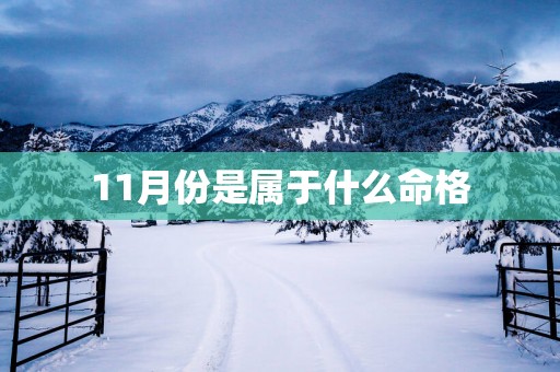11月份是属于什么命格
