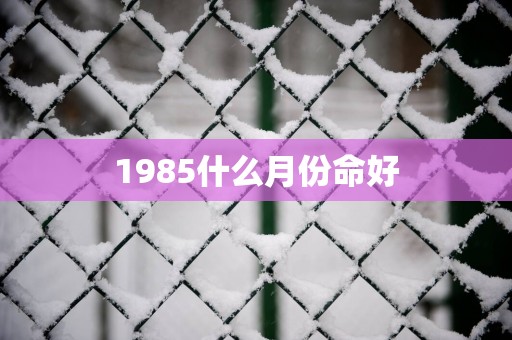 1985什么月份命好