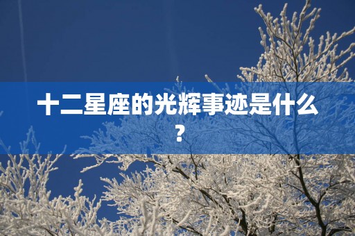 十二星座的光辉事迹是什么？