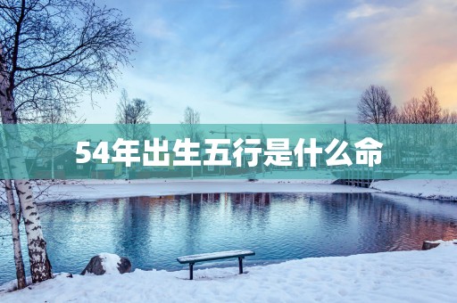 54年出生五行是什么命